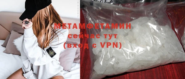 индика Богородицк