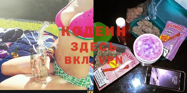 индика Богородицк
