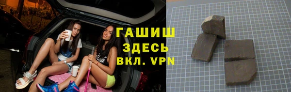 индика Богородицк