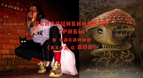 мяу мяу мука Богданович