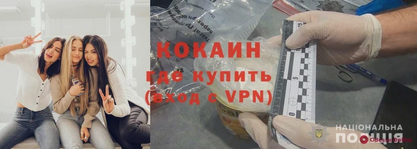 индика Богородицк