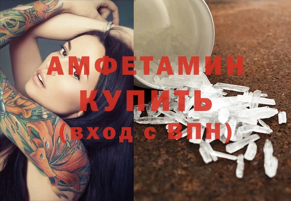 индика Богородицк