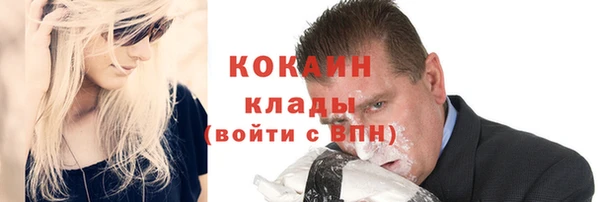 индика Богородицк