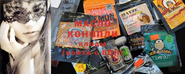 индика Богородицк