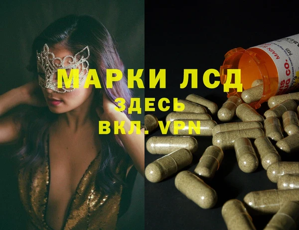 индика Богородицк