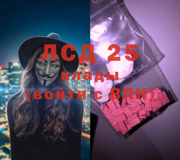 индика Богородицк