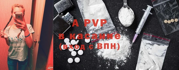 индика Богородицк