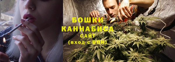 индика Богородицк