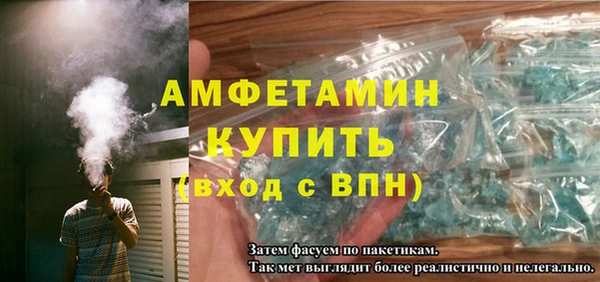 индика Богородицк