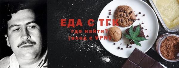 индика Богородицк