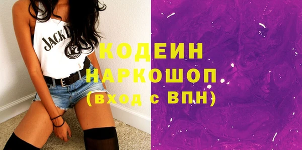 индика Богородицк