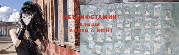 индика Богородицк
